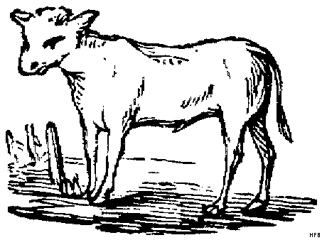 Disegno 5 Azienda agricola