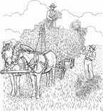 Disegno 35 Azienda agricola