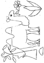 Disegno 2 Cammelli