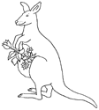 Disegno 12 Canguri
