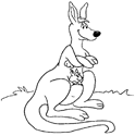 Disegno 2 Canguri
