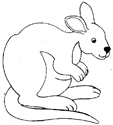 Disegno 6 Canguri