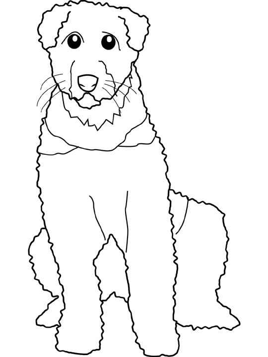 Disegno 21 Cani