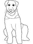 Disegno 21 Cani