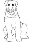 Disegno 28 Cani