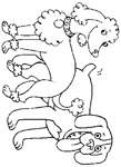 Disegno 52 Cani