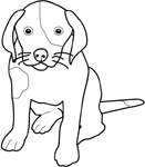 Disegno 58 Cani