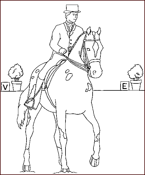 Disegno 28 Cavalli