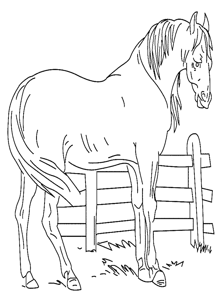 Disegno 30 Cavalli