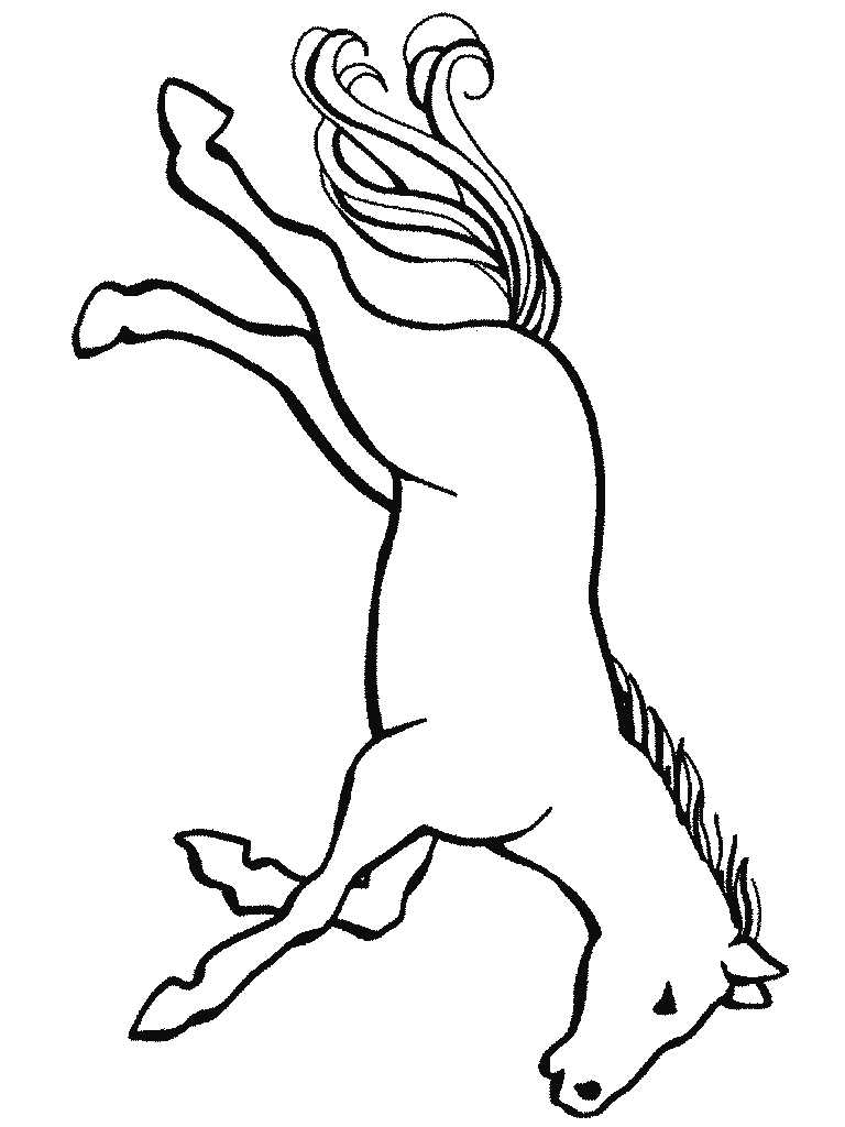 Disegno 31 Cavalli