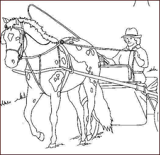 Disegno 38 Cavalli