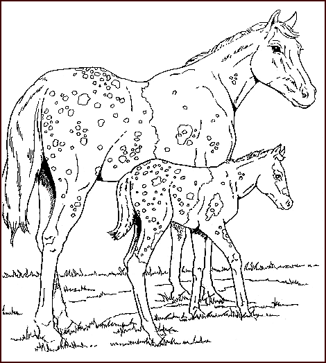 Disegno 39 Cavalli