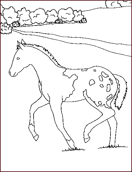 Disegno 40 Cavalli