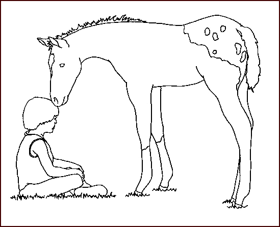 Disegno 41 Cavalli