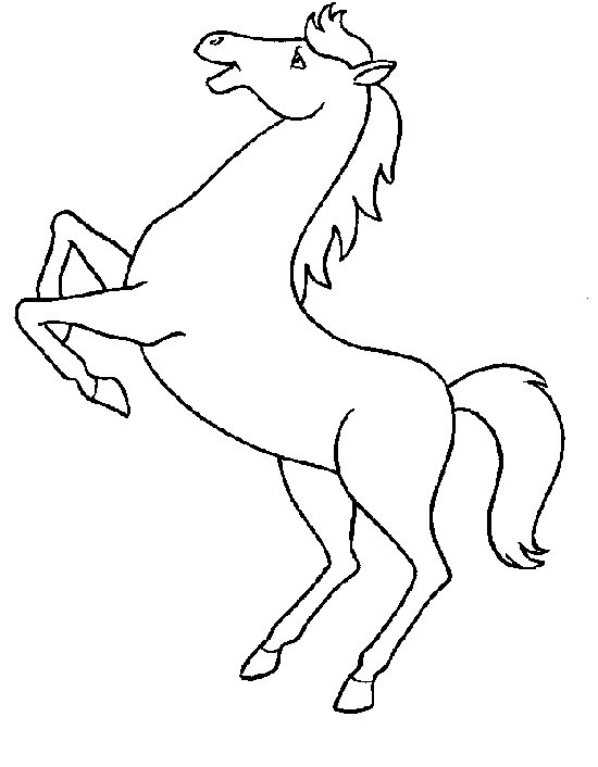 Disegno 43 Cavalli