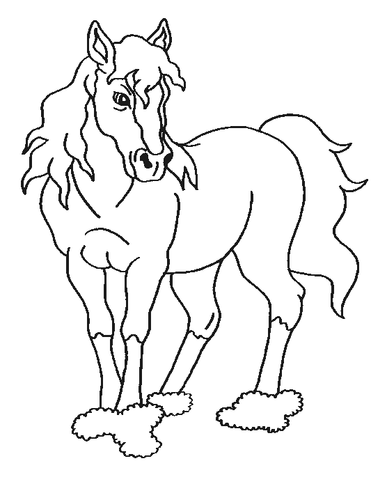 Disegno 51 Cavalli