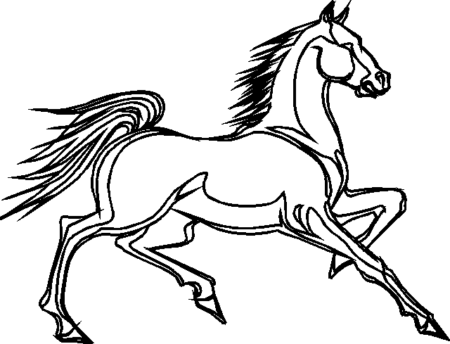 Disegno 54 Cavalli