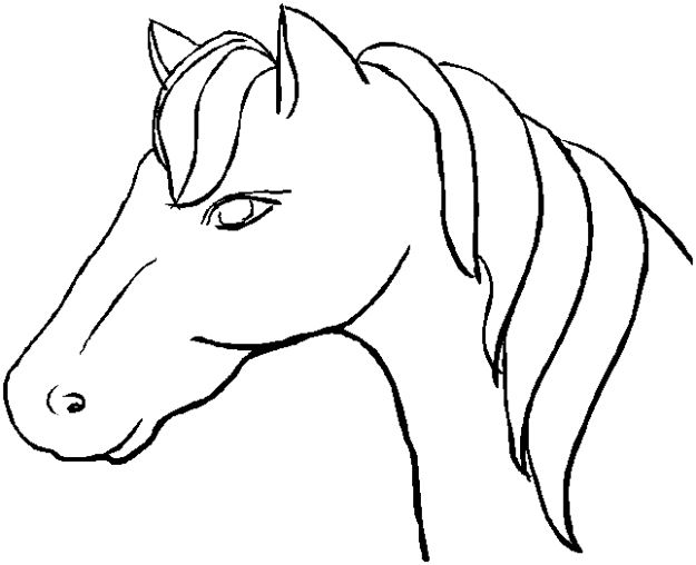 Disegno 6 Cavalli