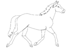 Disegno 19 Cavalli