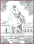 Disegno 22 Cavalli