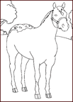 Disegno 26 Cavalli