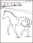 Disegno 40 Cavalli