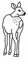 Disegno 2 Cervi