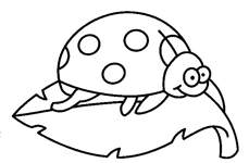 Disegno 8 Coccinelle