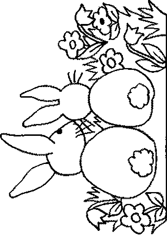 Disegno 32 Conigli