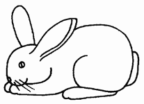 Disegno 2 Conigli