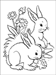 Disegno 66 Conigli