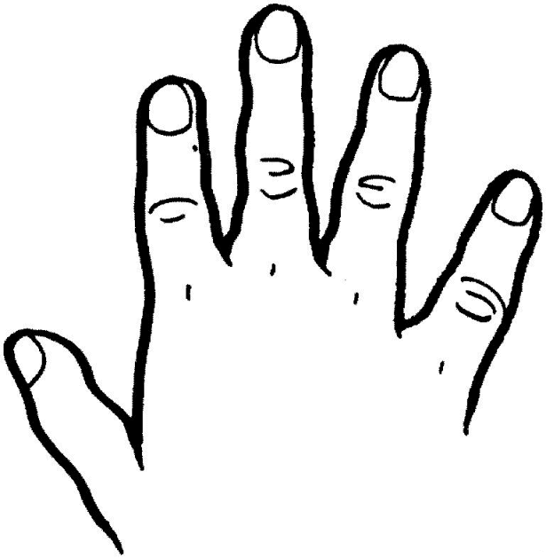 Disegno 20 Corpo umano