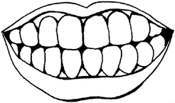 Disegno 21 Corpo umano