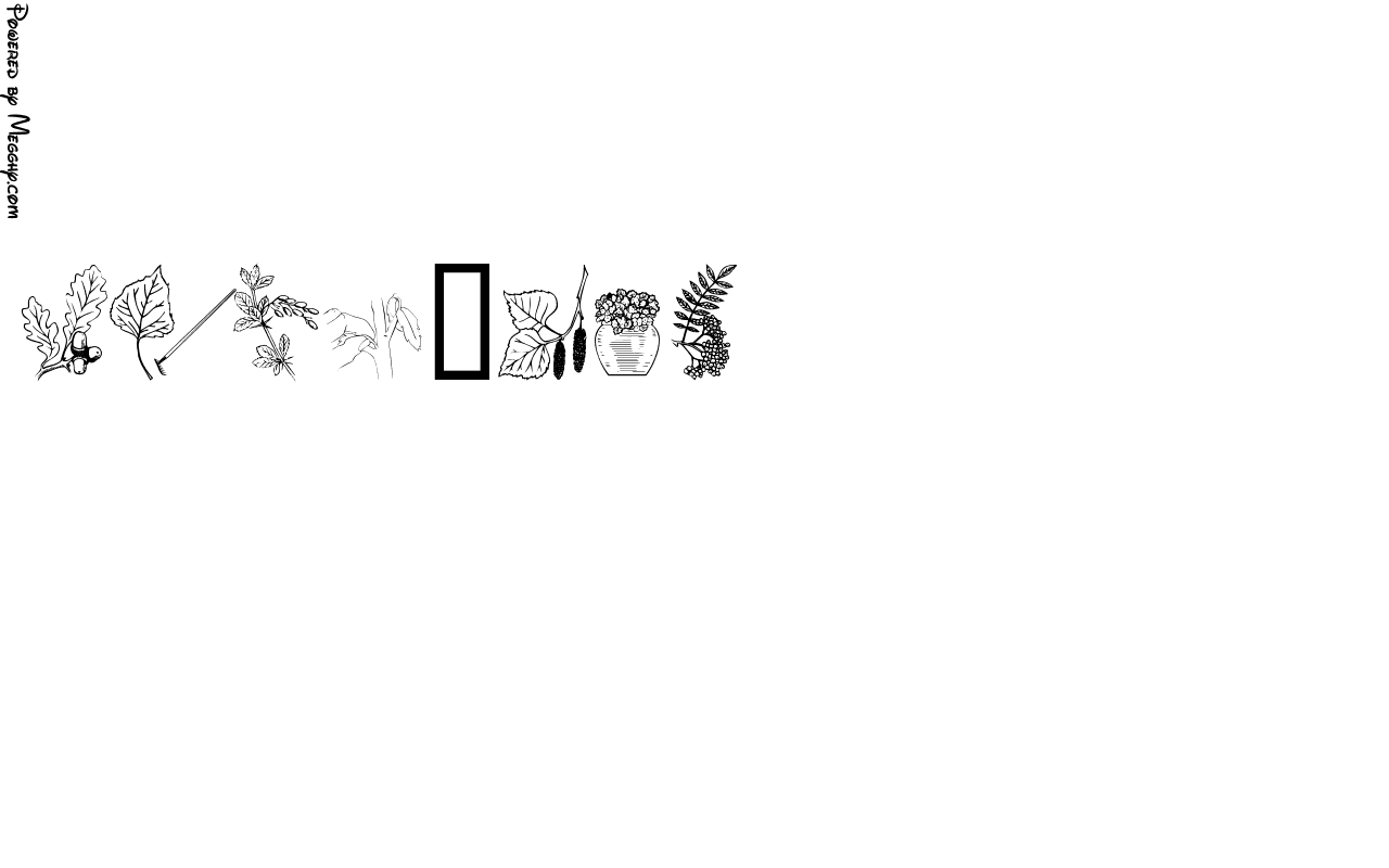 Anteprima immagine