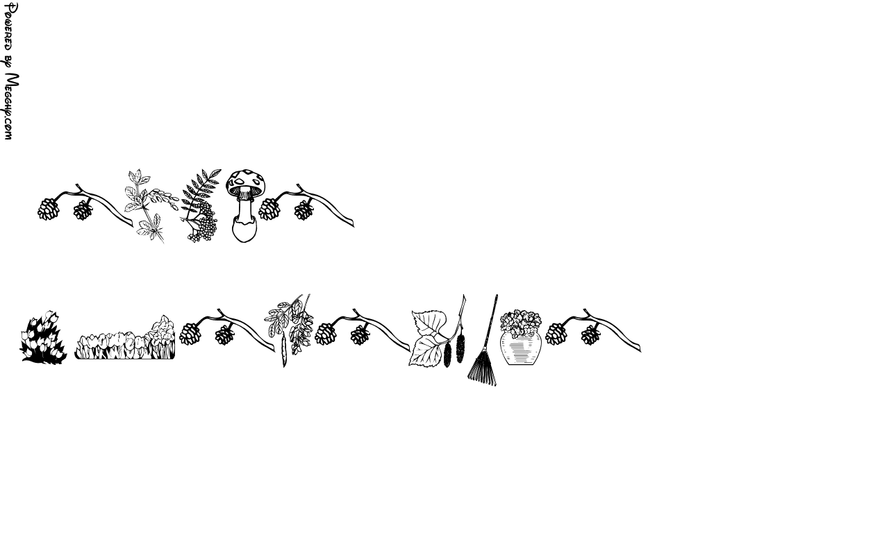Anteprima immagine