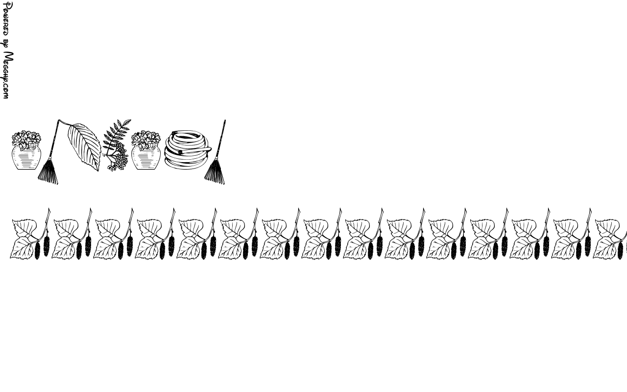 Anteprima immagine