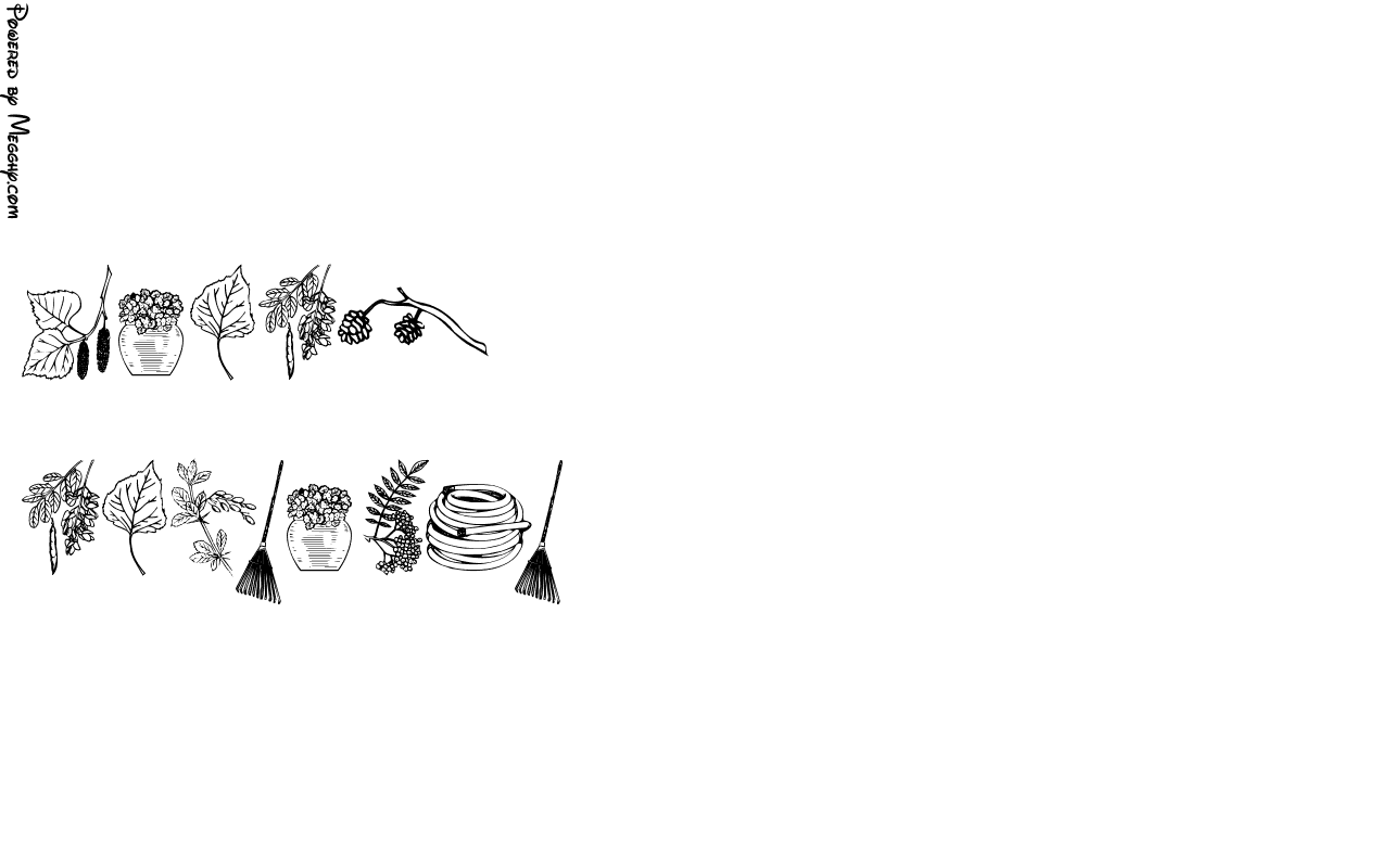Anteprima immagine