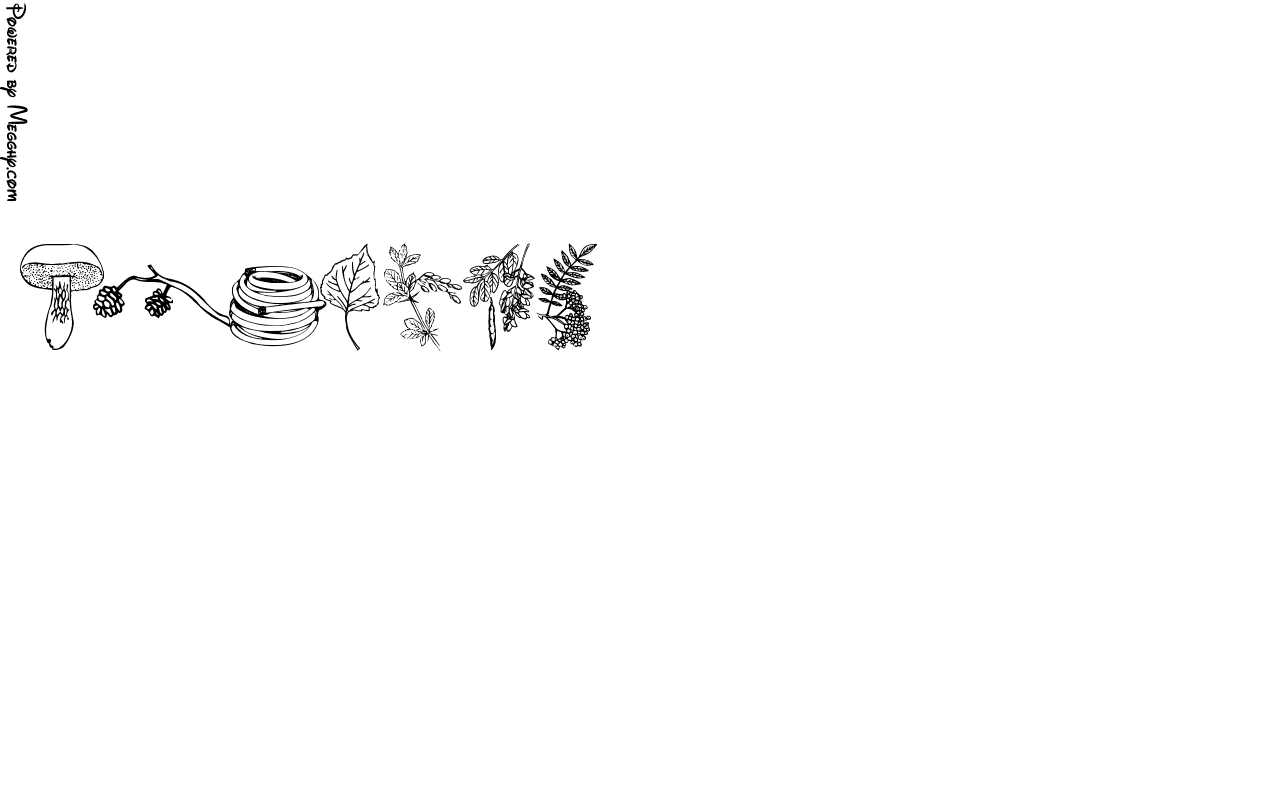 Anteprima immagine