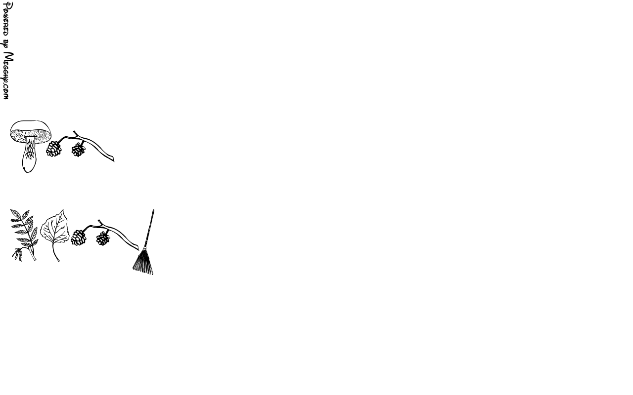 Anteprima immagine