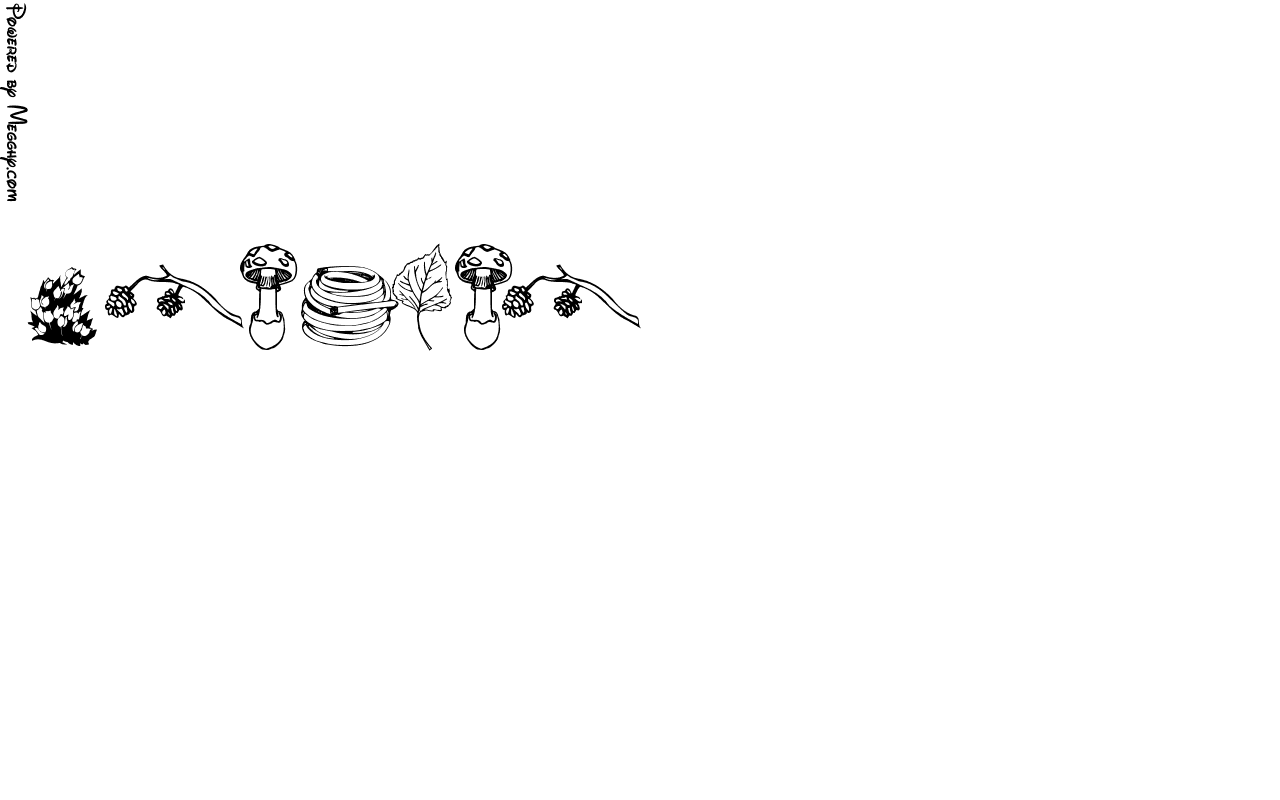 Anteprima immagine