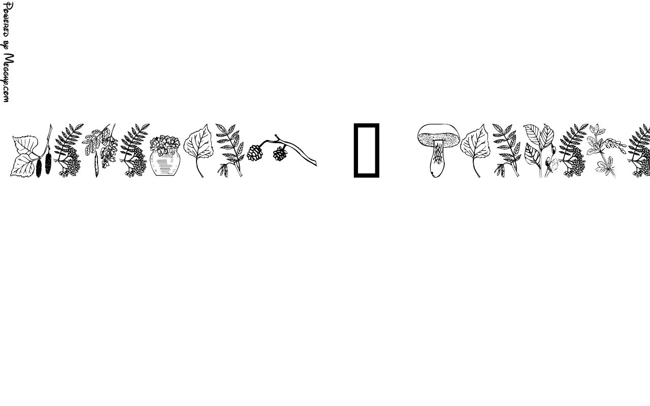 Anteprima immagine