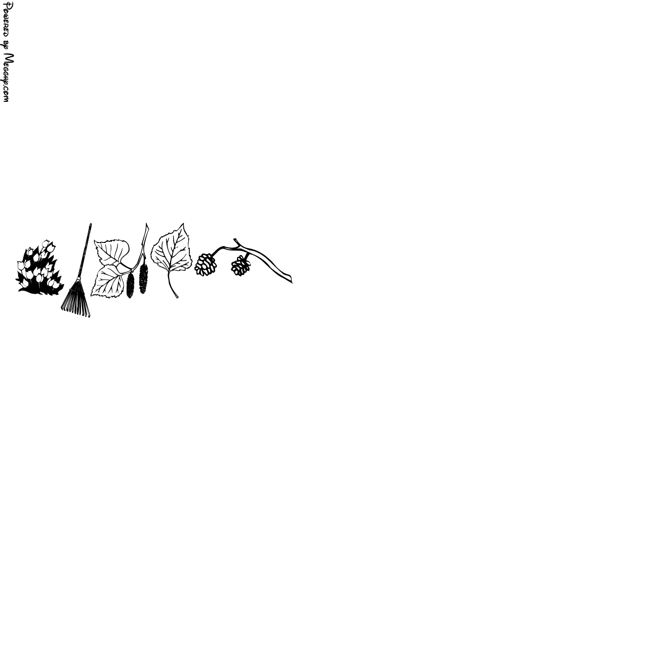 Anteprima immagine