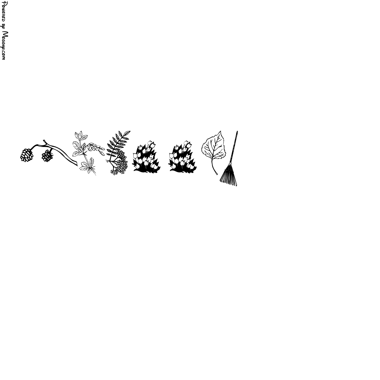 Anteprima immagine