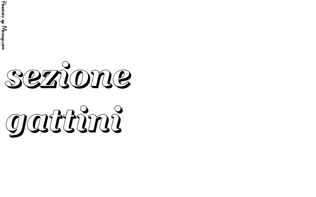 Anteprima immagine