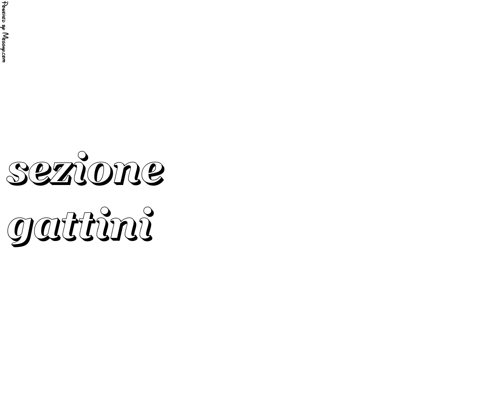 Anteprima immagine