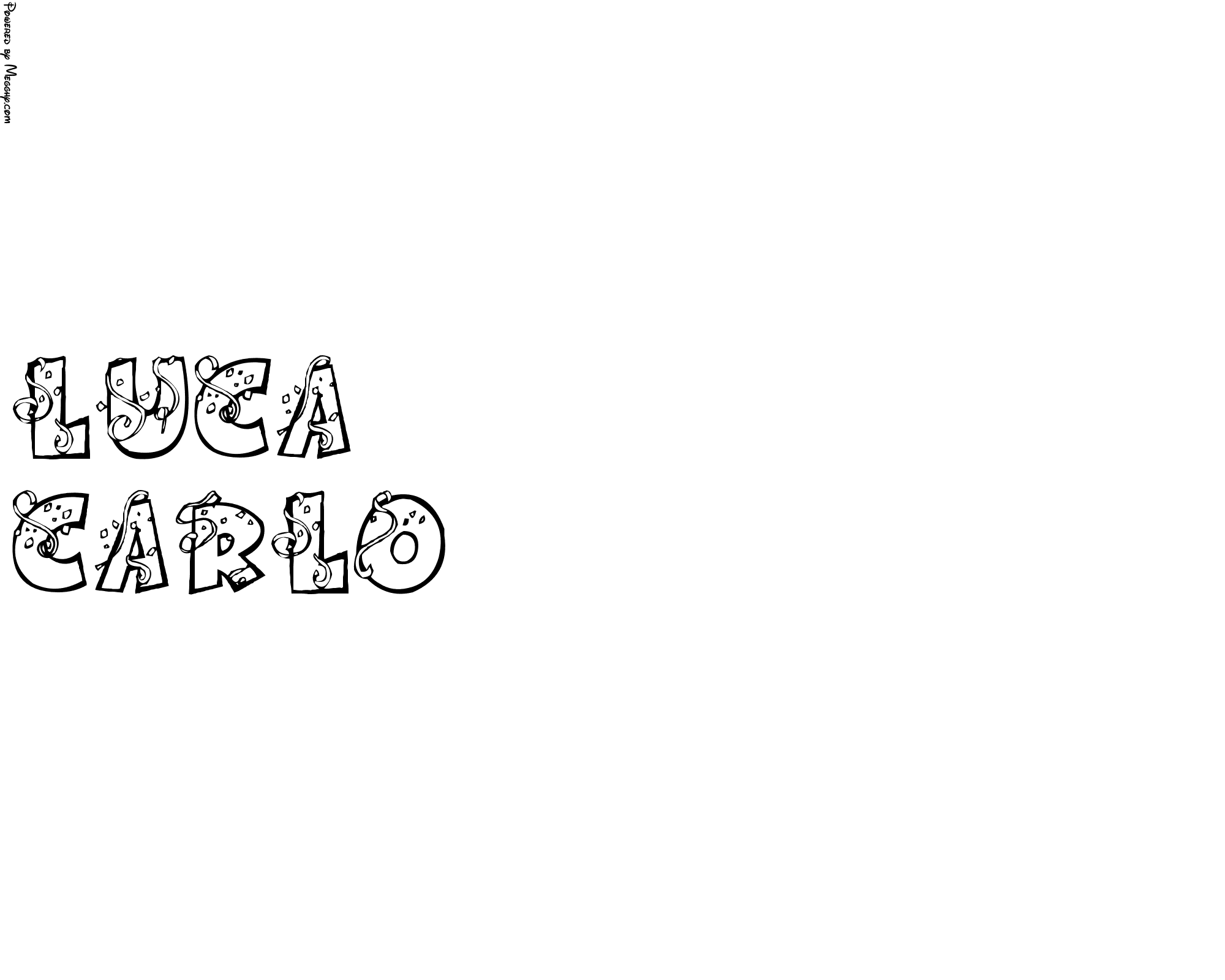 Anteprima immagine