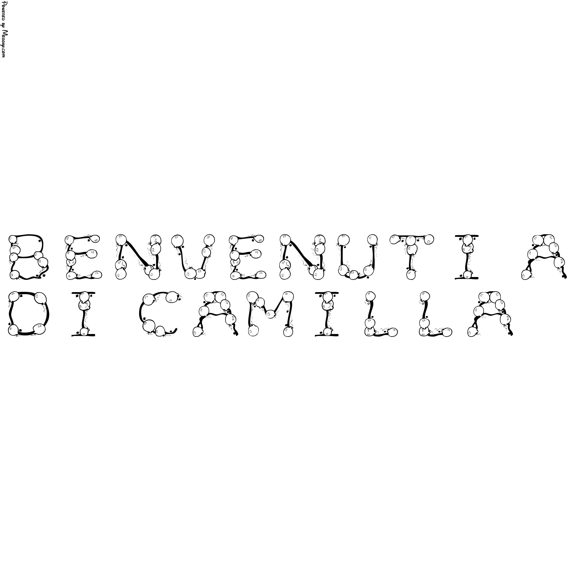 Anteprima immagine