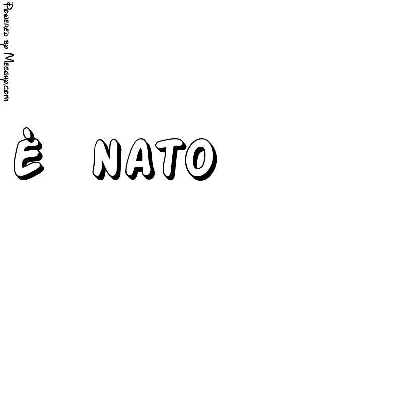 Anteprima immagine