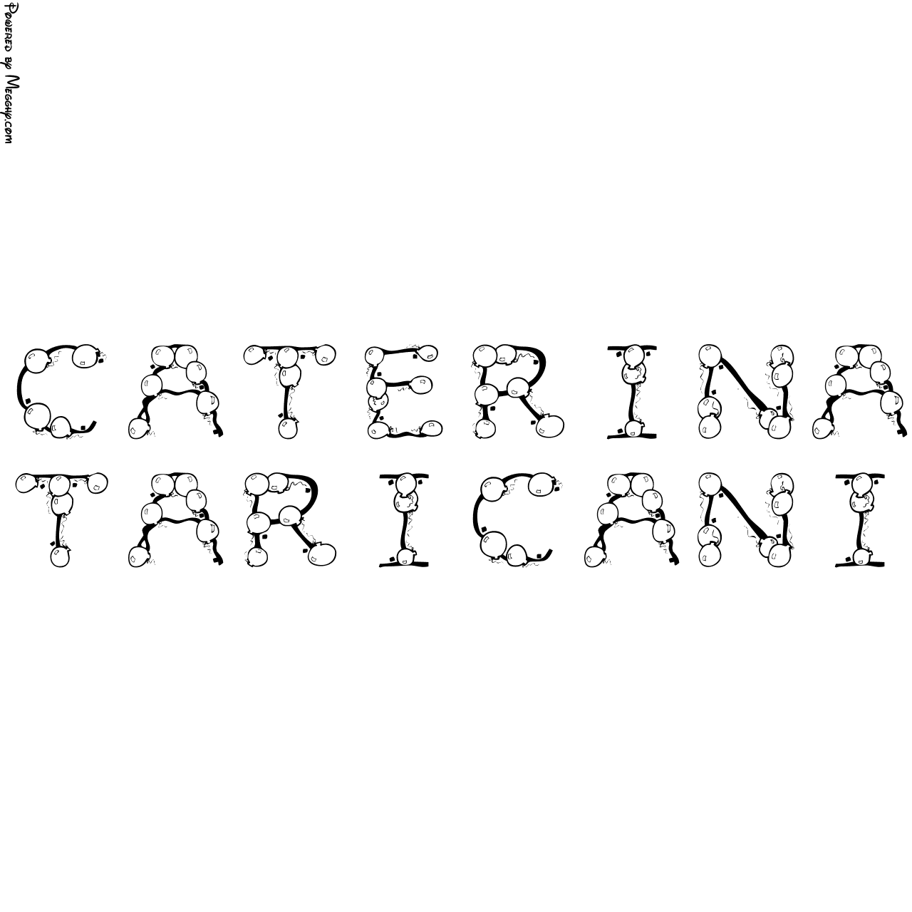 Anteprima immagine
