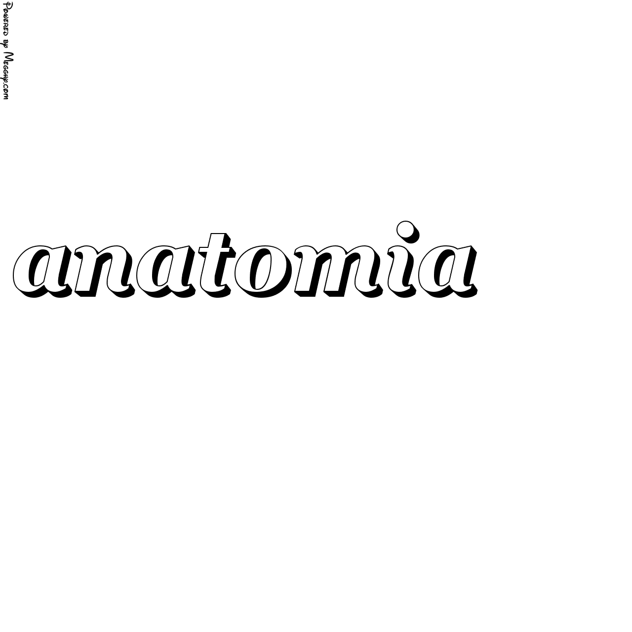 Anteprima immagine